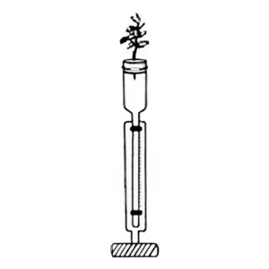 Apparatus for Demonstrate Suction Due to Transpiration. A Capillary Tube with Funnel at Top & Scale Attached