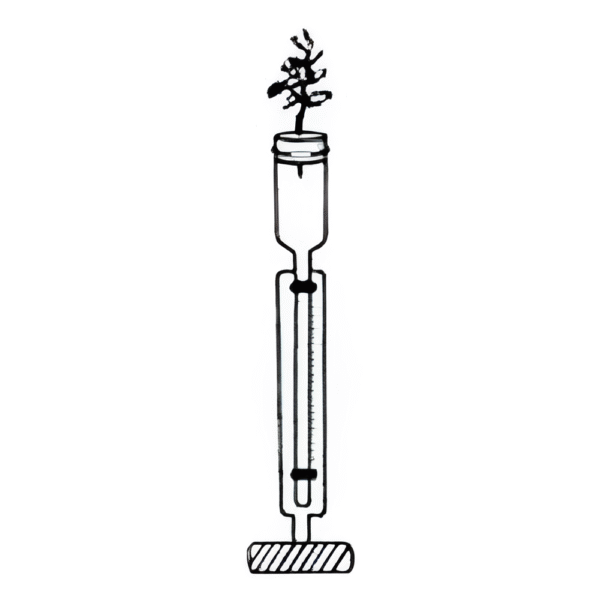 Apparatus for Demonstrate Suction Due to Transpiration. A Capillary Tube with Funnel at Top & Scale Attached