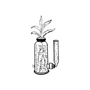 Apparatus for the Determination the Quality of Water Absorbed & Given Off By Transpiration Plants Borosilicate Glass Bottle with Borosilicate Glass Side Tube