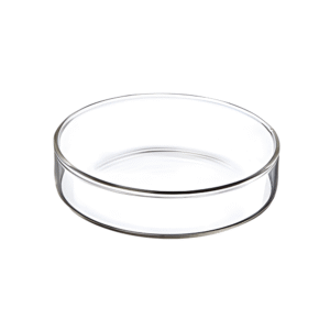 Petri Dishes